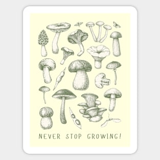 Mushrooms Mushroom lover Sticker